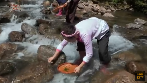 삼척 민물김