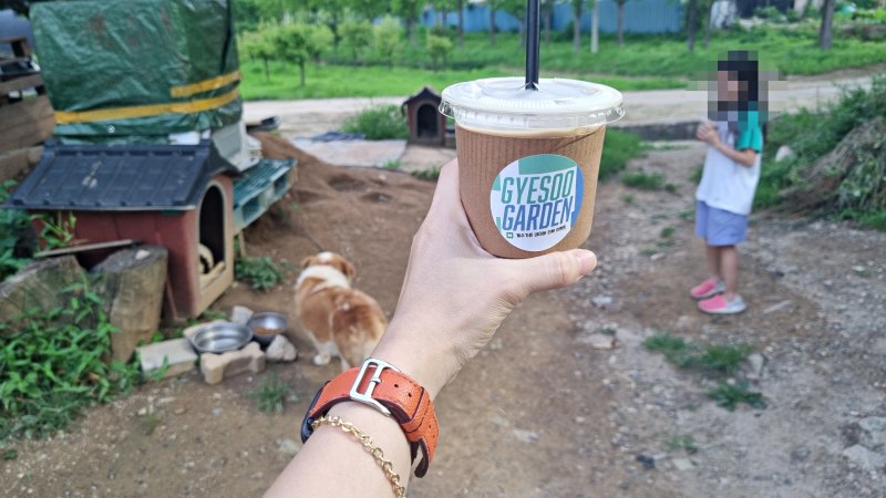 계수가든 강아지