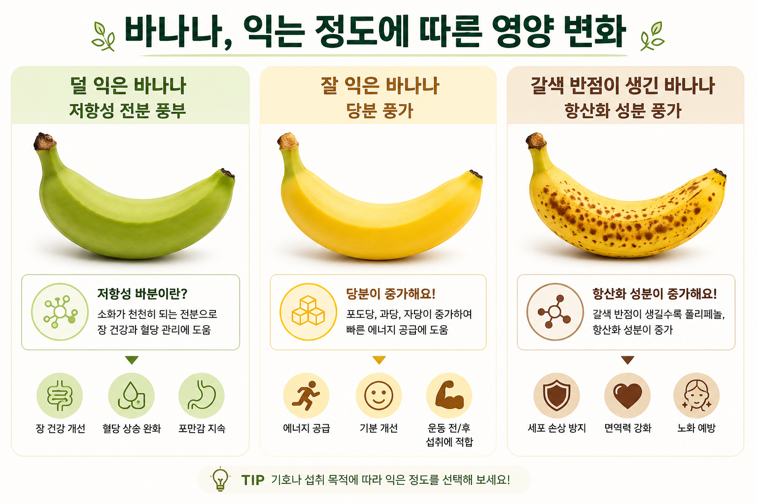 바나나 익은 정도에 따른 변화