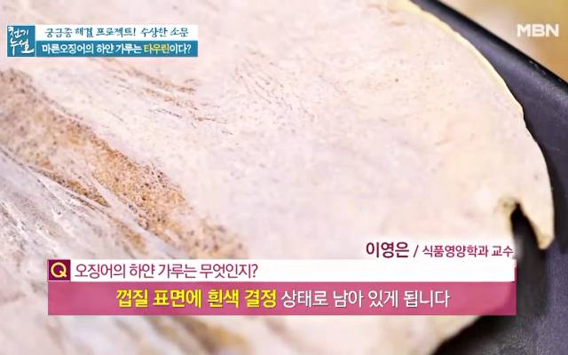 마른 오징어 하얀가루 곰팡이 마른오징어보관법