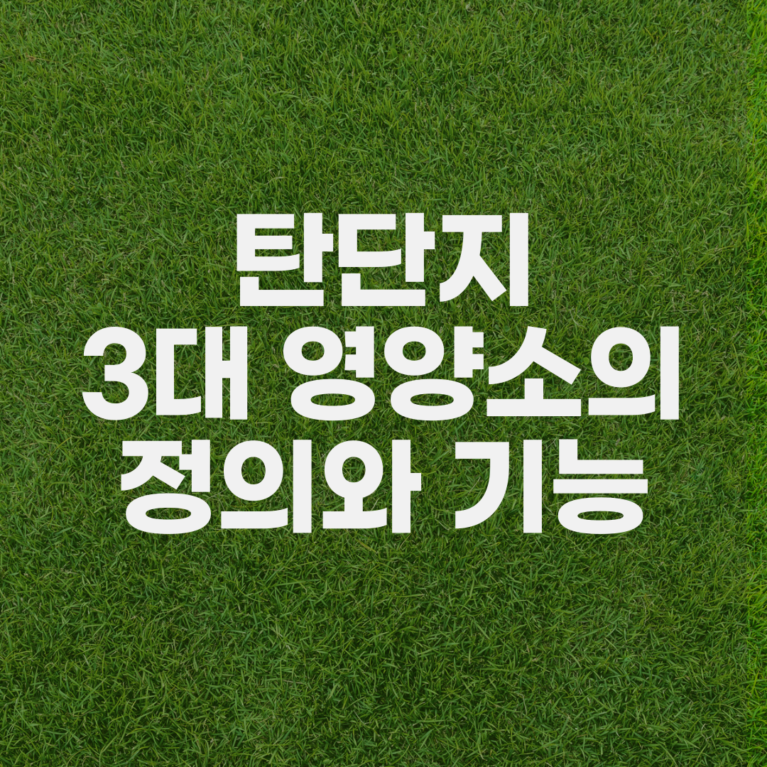 탄단지-3대영양소-정의-기능