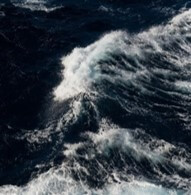 무섭게-밀려오는-검은-파도