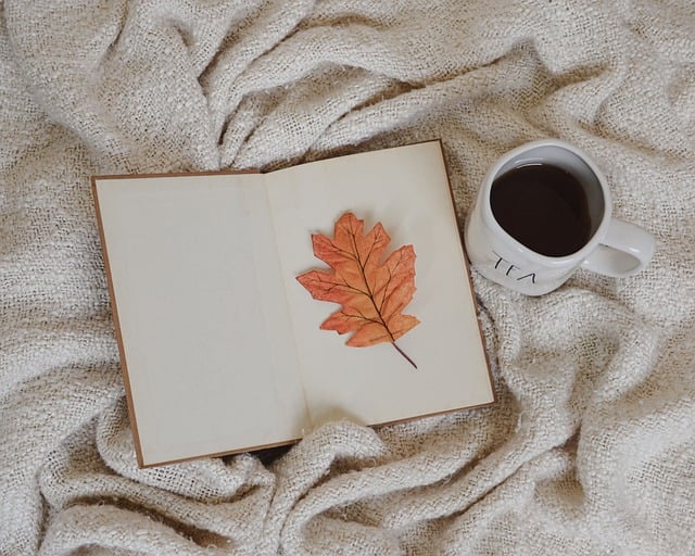 🍂 가을 맞이 여행 : MBTI별 혼자/커플/친구 여행 추천