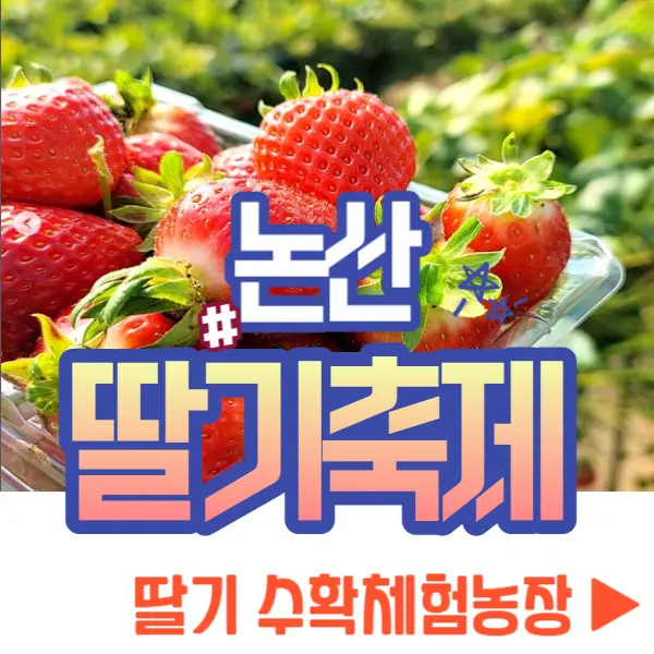 논산딸기축제 딸기 수확체험 농장