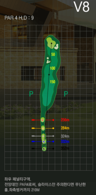 더플레이어스 골프클럽 밸리코스 8