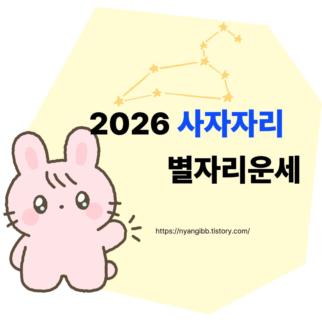 2026 사자자리 운세 총정리 관련 사진