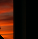 『서랍에 저녁을 넣어 두었다』 &ndash; 한강&amp;#44; 고독과 삶을 담은 첫 시집