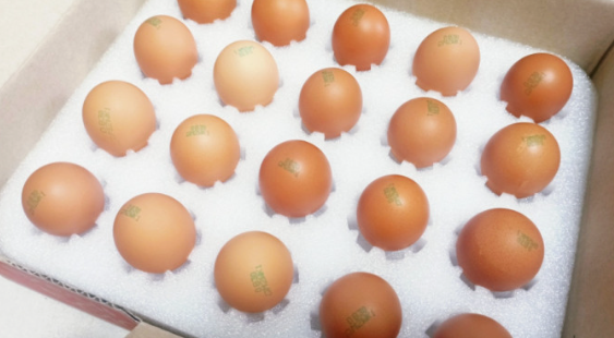 주요 비타민의 종류와 각각의 효능(역할)과 부족시 현상 그리고 부작용