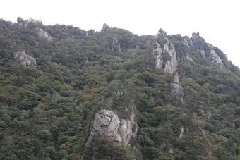 소백산 비로봉 연화봉 등산 완벽 산행코스 소요시간 주차팁과 철도 정보_21