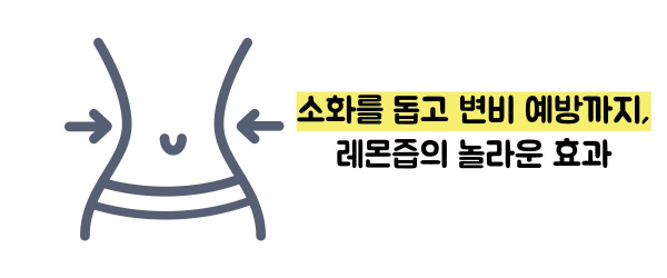 레몬즙 효능