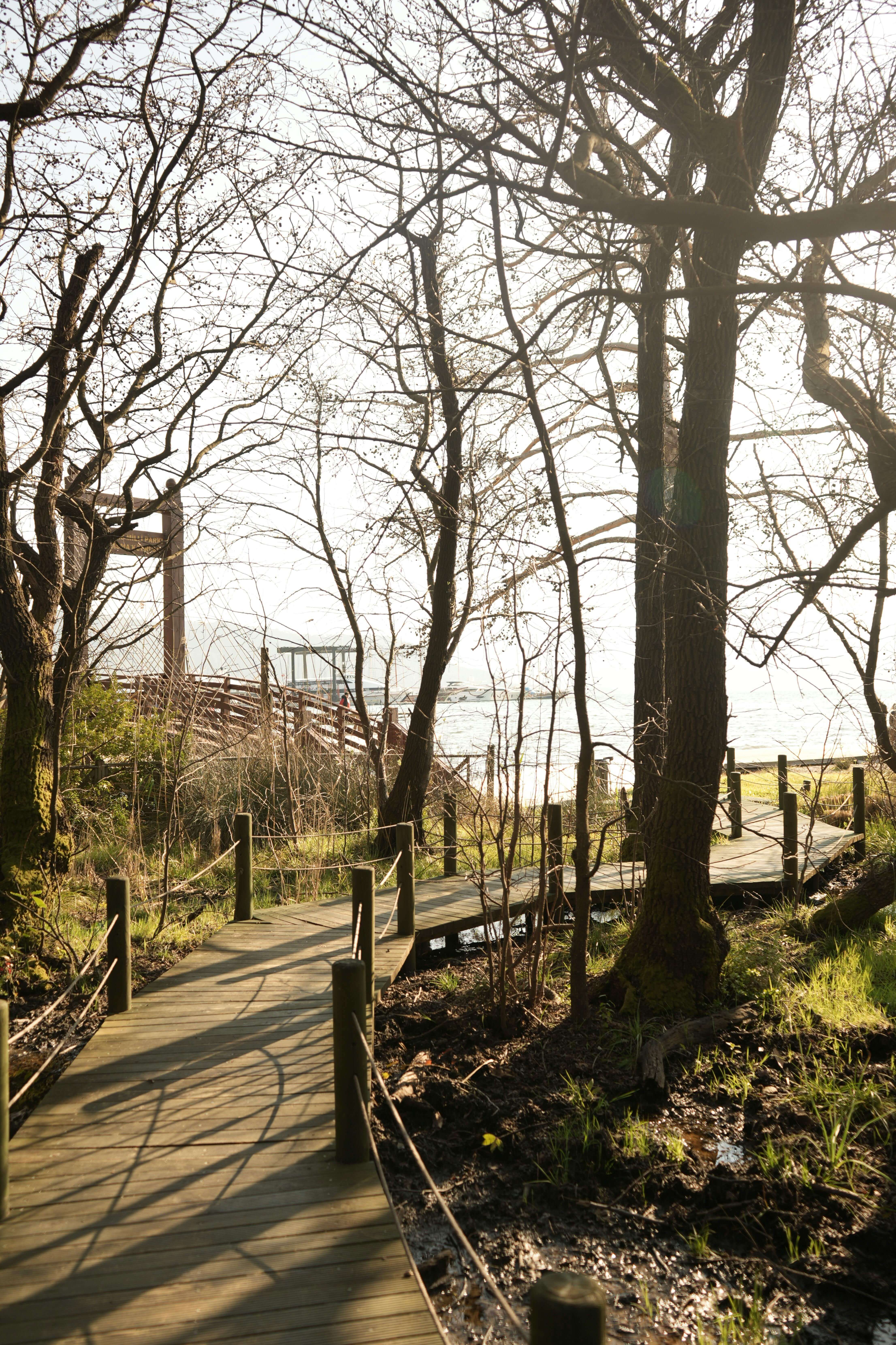 금선사 템플스테이 예약 방법 일정 총정리