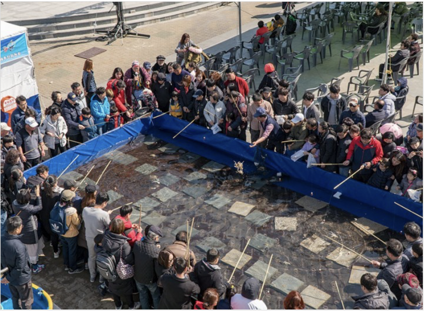 무창포 주꾸미 도다리 대잔치