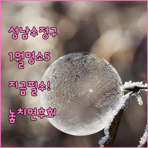 성남 수정구 1월 가볼만한곳 명소 5..
