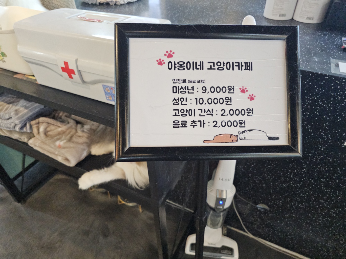 야옹이네 고양이 카페