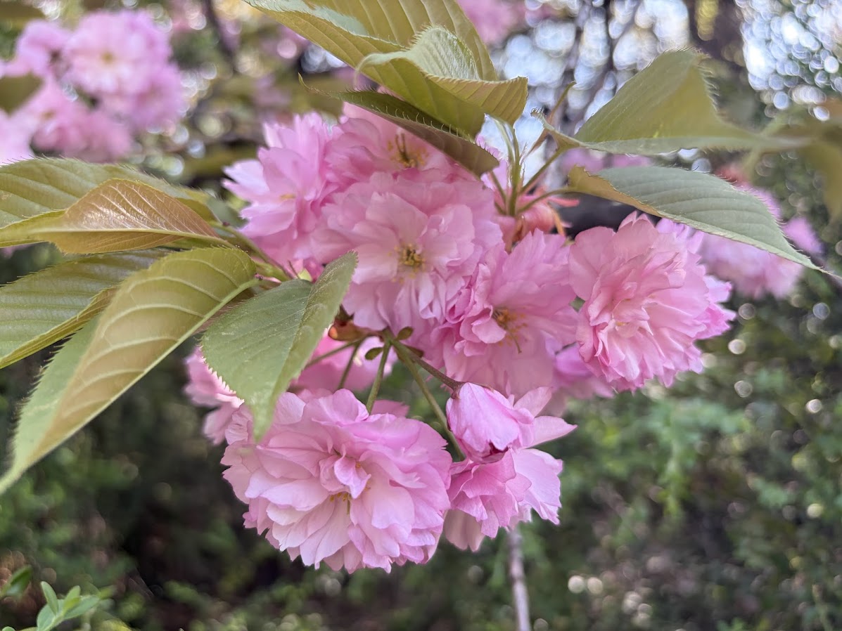 추억의 어린이대공원