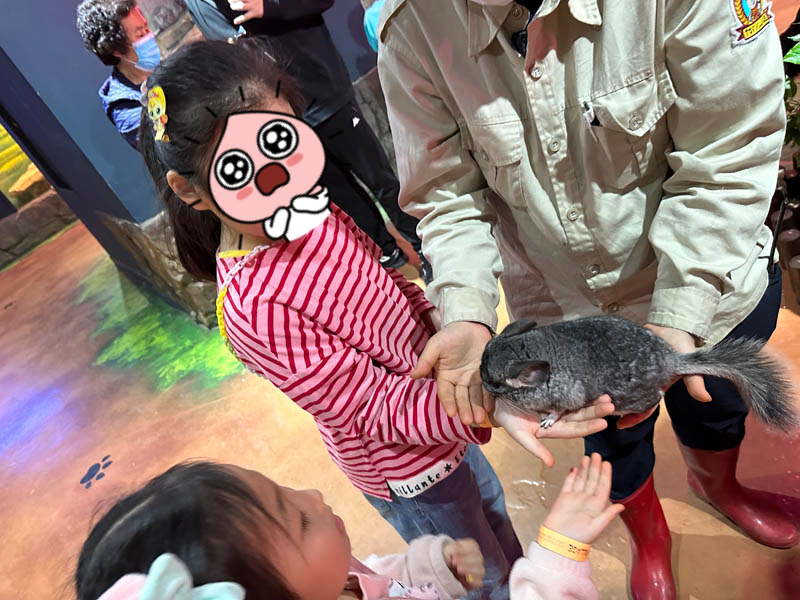 친칠라 만져보기