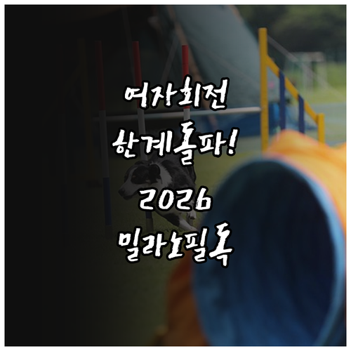 알파인 스키 여자 회전 종목 특징과 ..