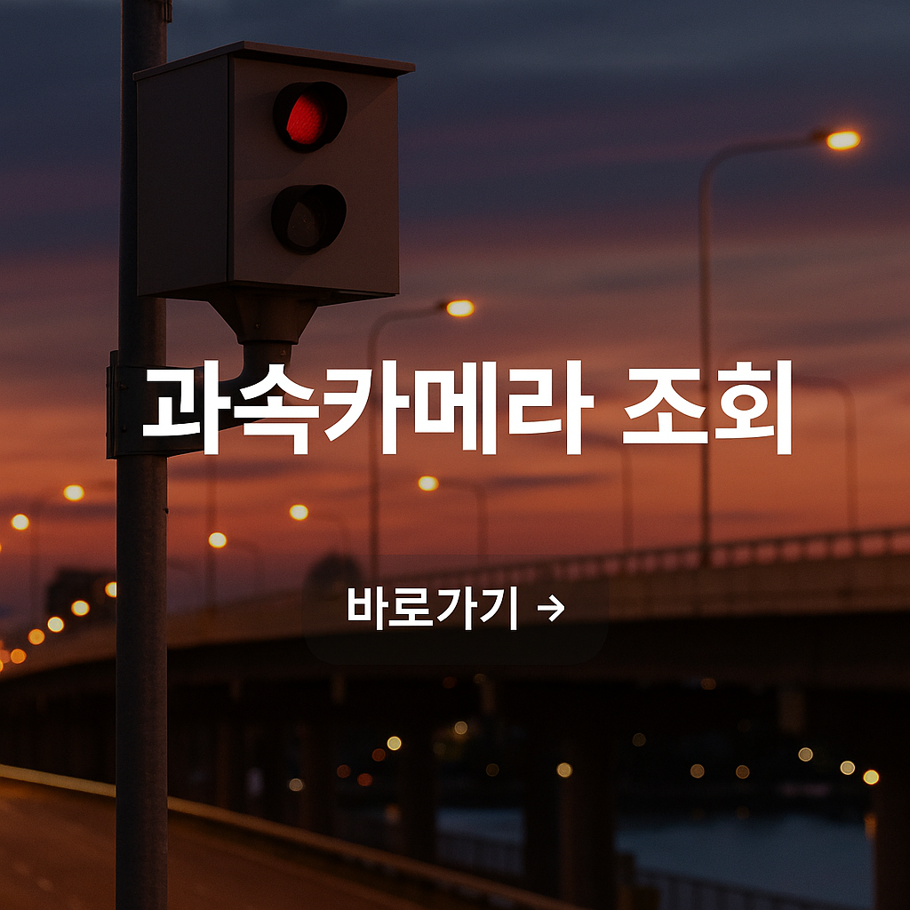 과속카메라 조회 가능한 사이트, 이파인,조회 방법,위치 확인법