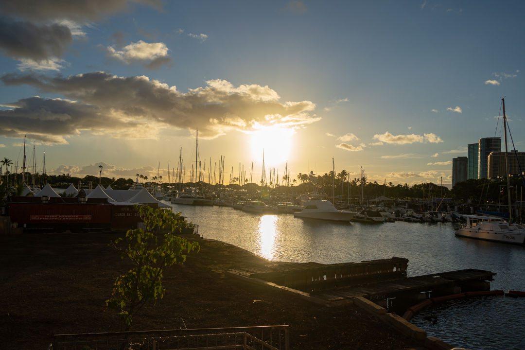 하와이 핑크 트롤리 일몰