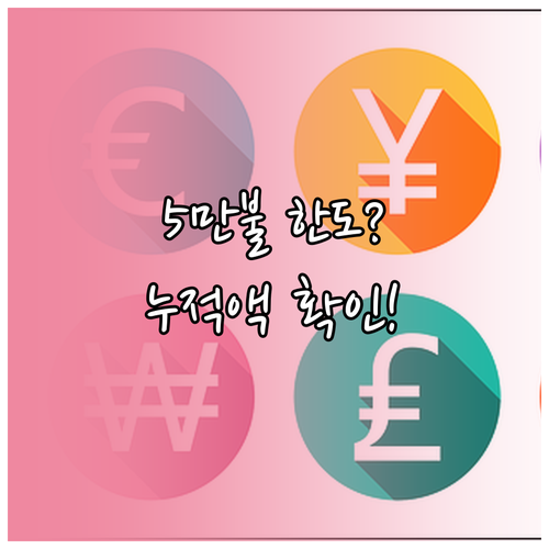 거주자 외환거래 5만 불 한도 신고 ..