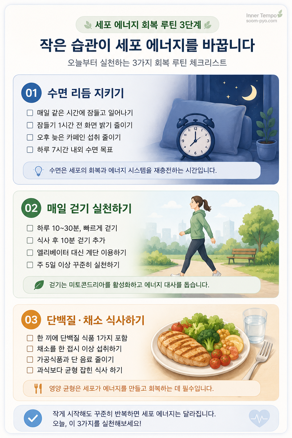 세포 에너지 회복 3단계 루틴