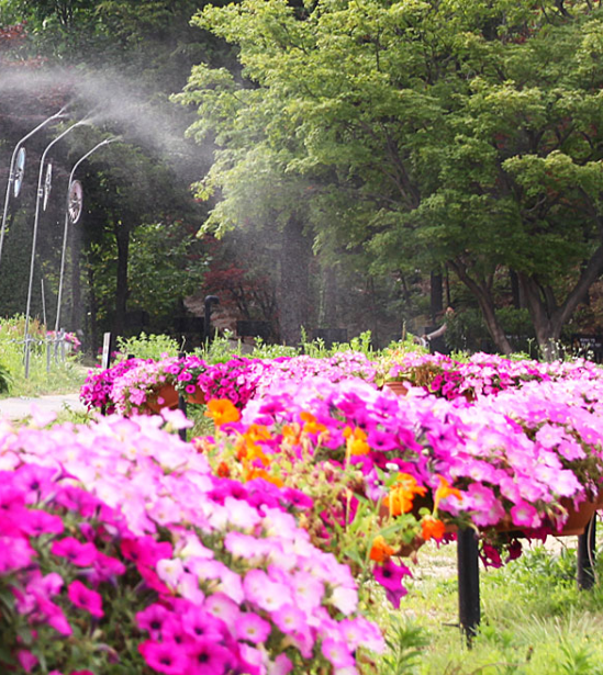 생생정보 택시맛객 남양주 여행 정보 수목원 썰매장 닭볶음탕 능내역