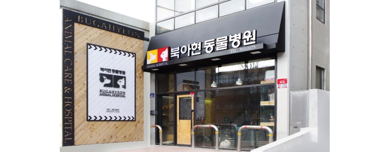 서울 서대문구 동물병원