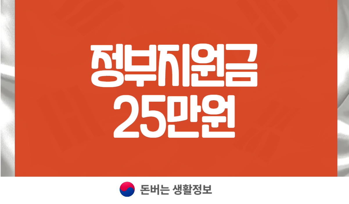 정부지원금 25만원