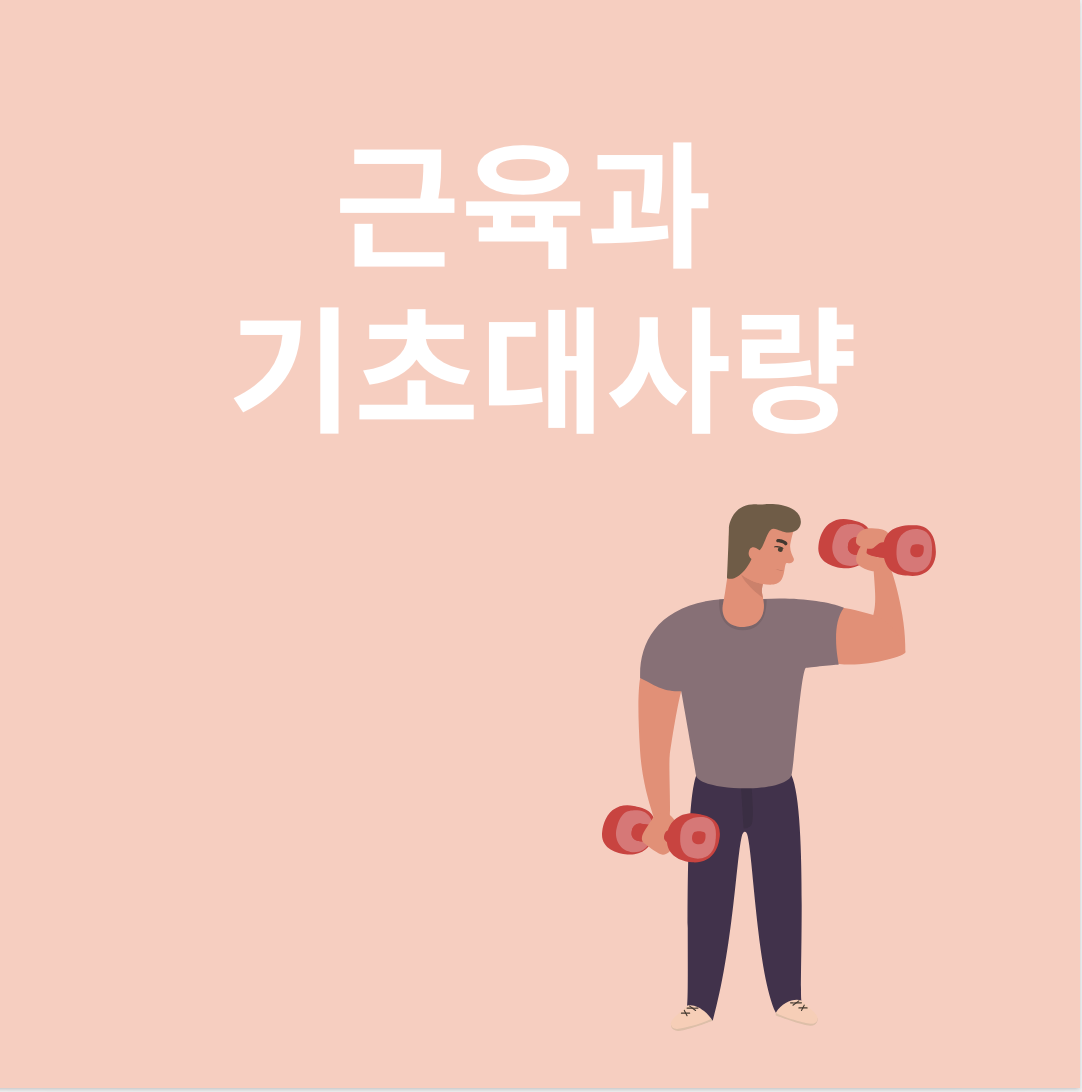 근육과 관련된 이미지