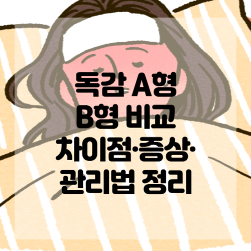 독감 A형 B형 비교 차이점&middot;증상&middot;관리법 정리