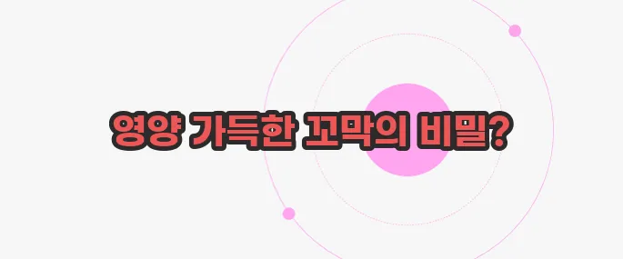 꼬막 효능 지금부터 알아볼까요
