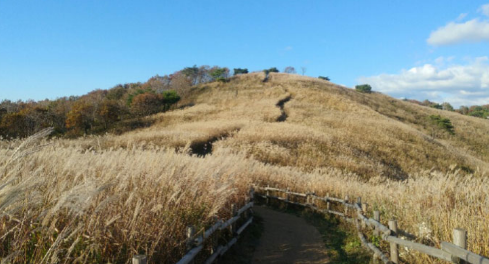 가을 억새, 단풍 산행지 추천
