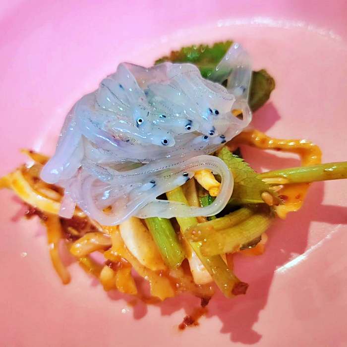 태안 마검포 맛집 실치회