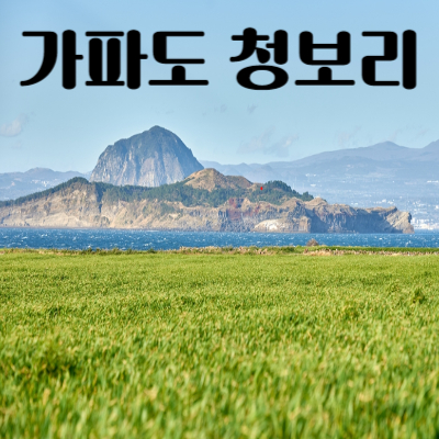 제주 가파도 청보리 배시간 예약하기