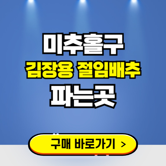 미추홀구 절임배추 사전예약 구입하는곳 ❘ 김장배추 파는곳 가격보기