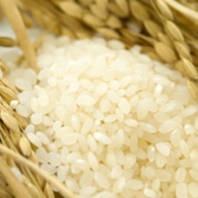 가루쌀로 만들 수 있는 음식