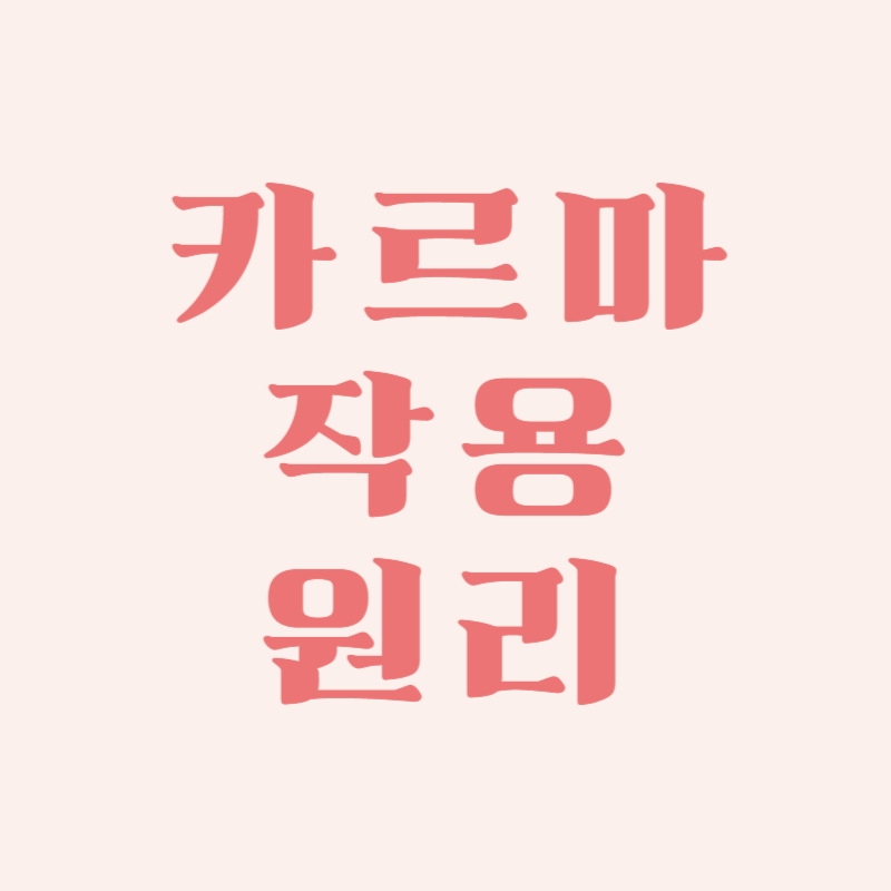 카르마의 의미와 작용 원리