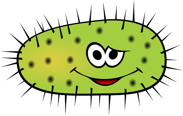 니파바이러스, 신종감염병