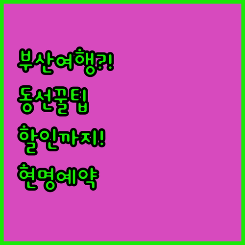 부산 여행 고민 해결 완벽 동선과 할..