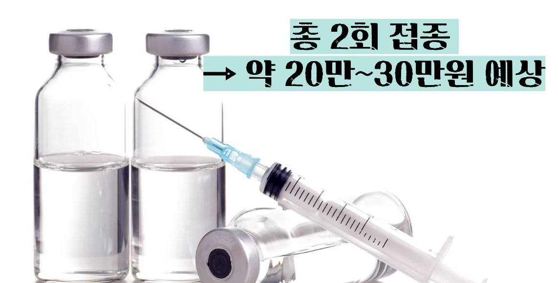 싱그릭스 접종 가격 부작용