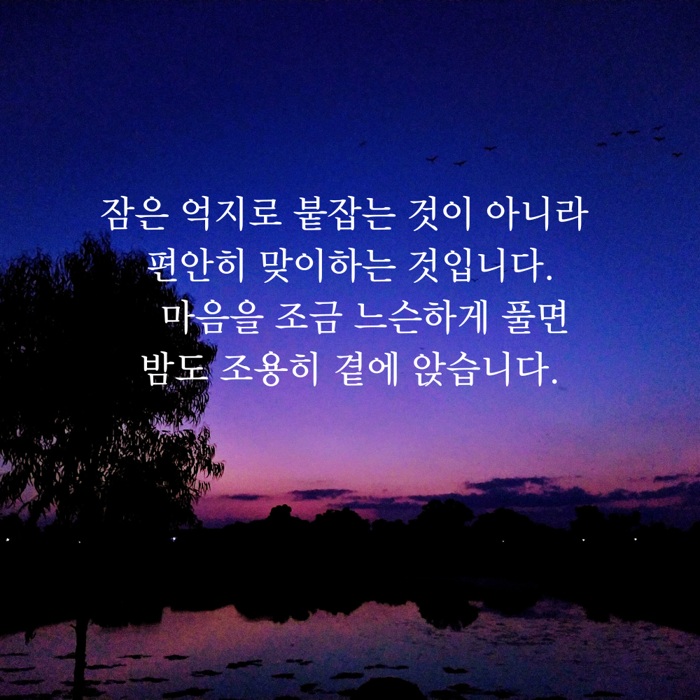 잠 안 올 때 보기 좋은 글귀 밤에 보면 좋은 짧은 말 이미지