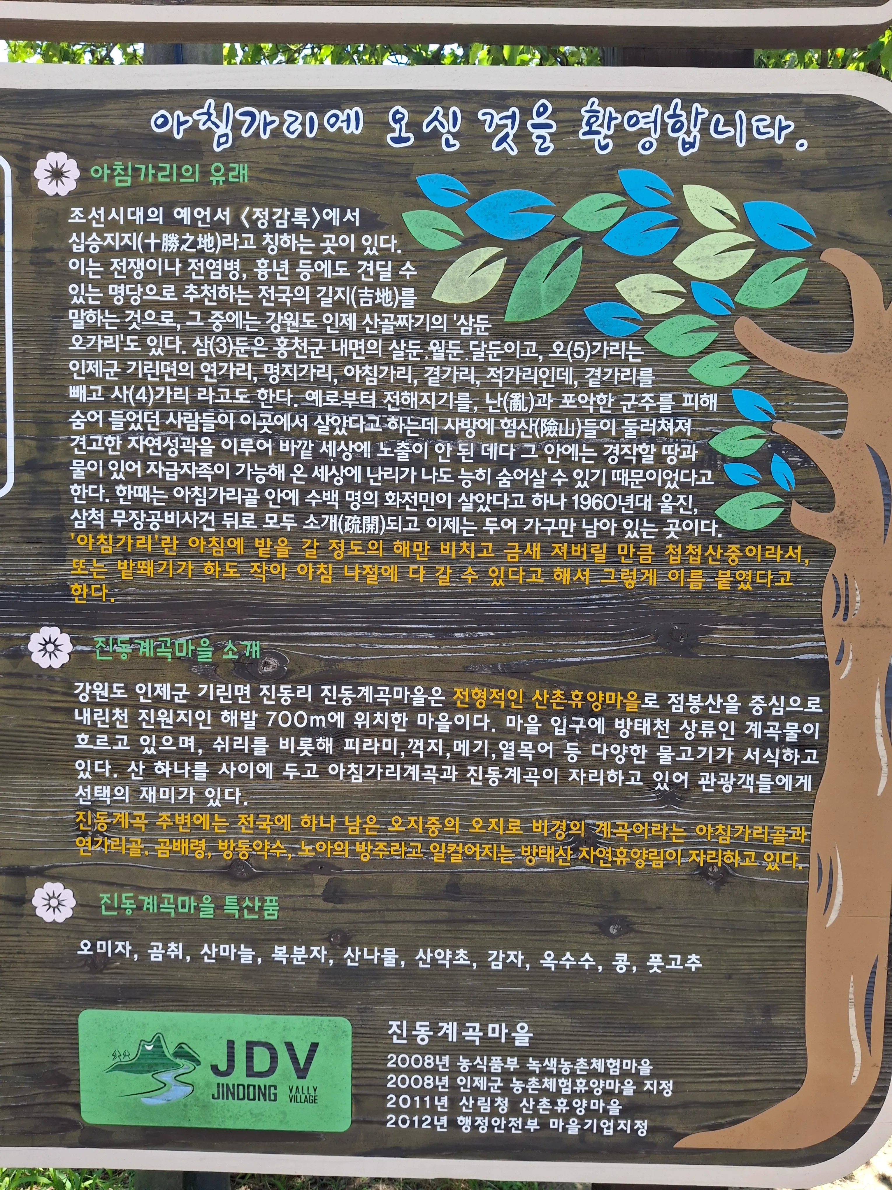 강원도 인제 아침가리 트레킹 시간 교통 투어