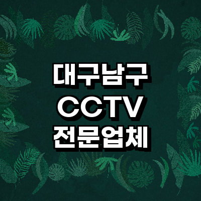 대구 남구 cctv