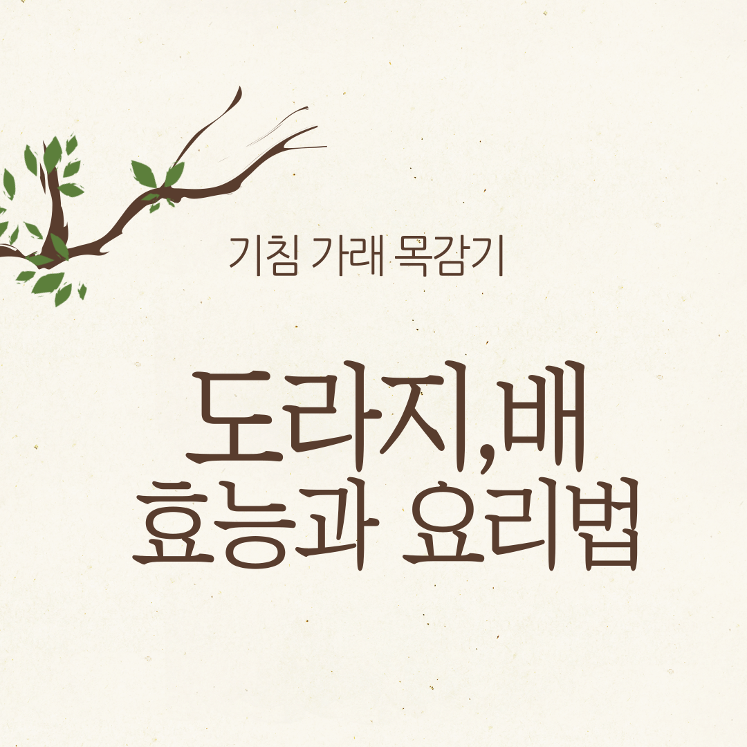 도라지배효능과요리안내포스터