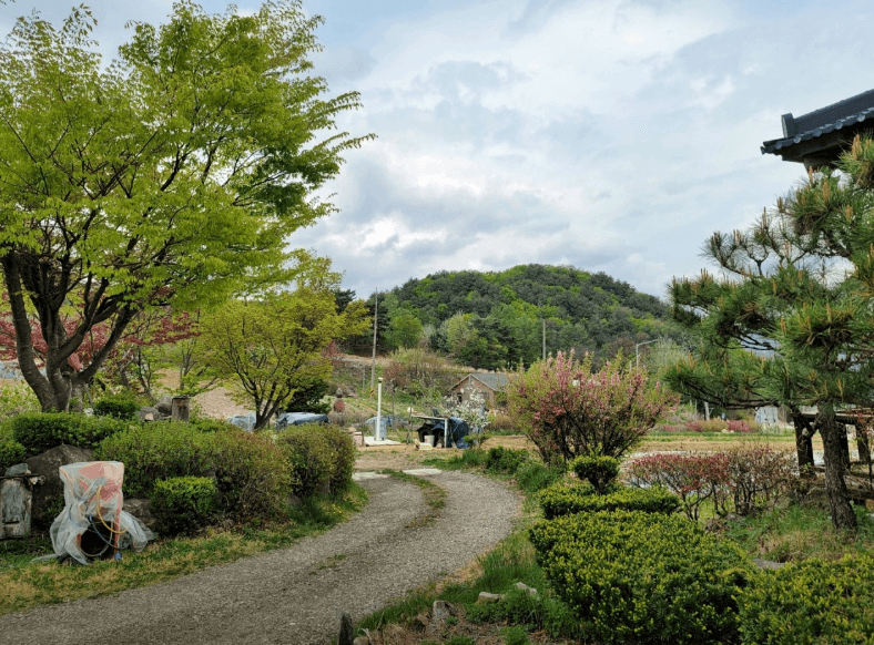 [6시 내고향] 인제 황태구이 부흥식당&amp;#44; 두부전골 광치령토속음식점&amp;#44; 된장 재래식 집된장 택배주문 광치령우성옥된장 