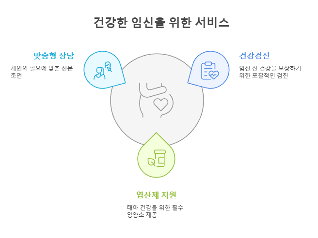 건강한 임신을 위한 서비스