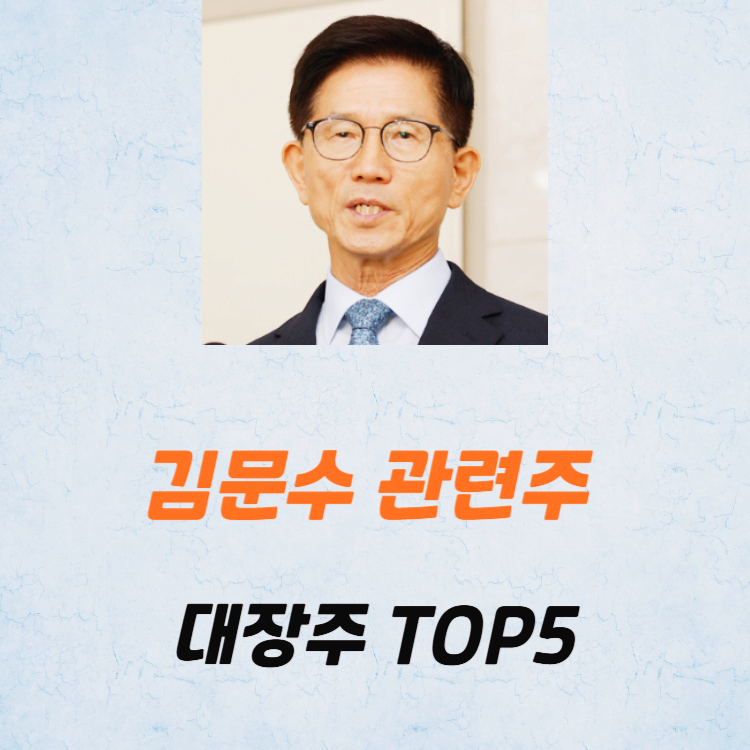 김문수 관련주 대장주 테마주 주식 TOP5