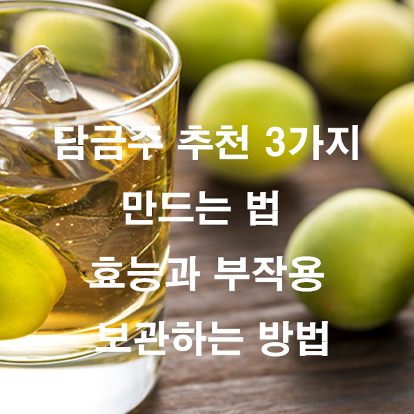담금주 추천 3가지 만드는 법 효능과 부작용 보관하는 방법