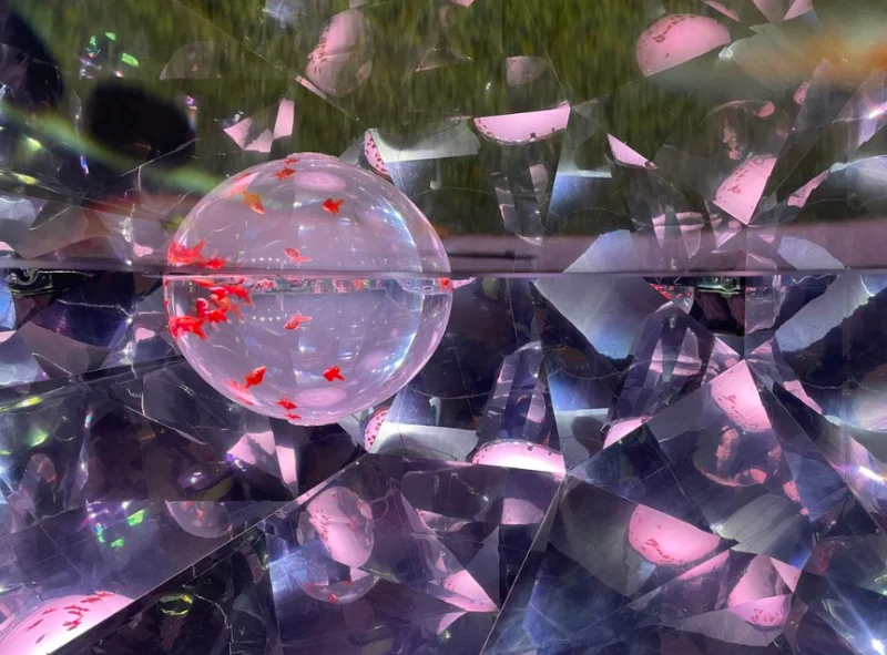 노보리베츠 마린파크 닉스 수족관