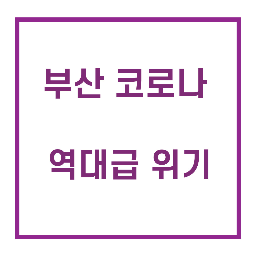 부산코로나/